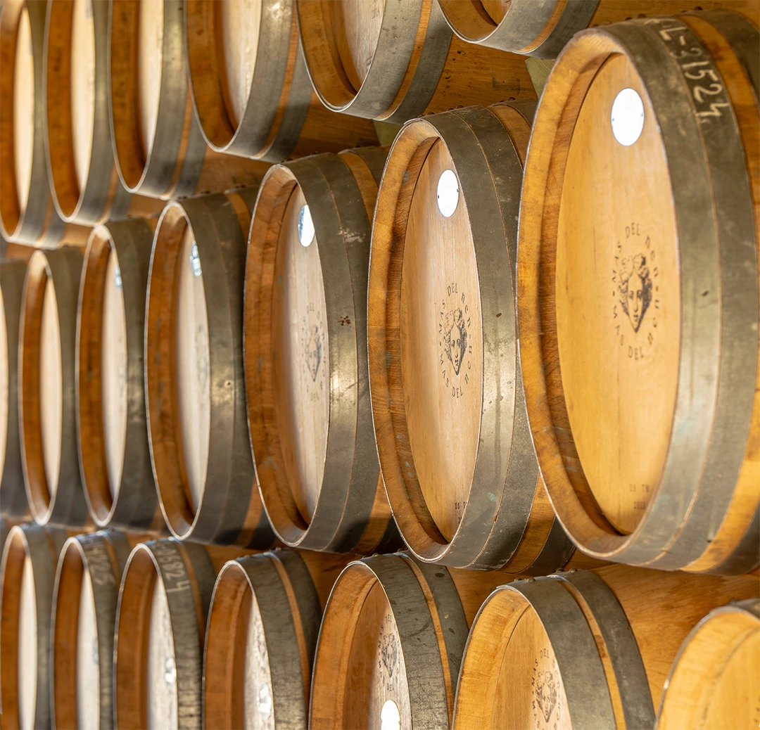 Detail of barrels at Mas del Nen - Bodegas Bellod
