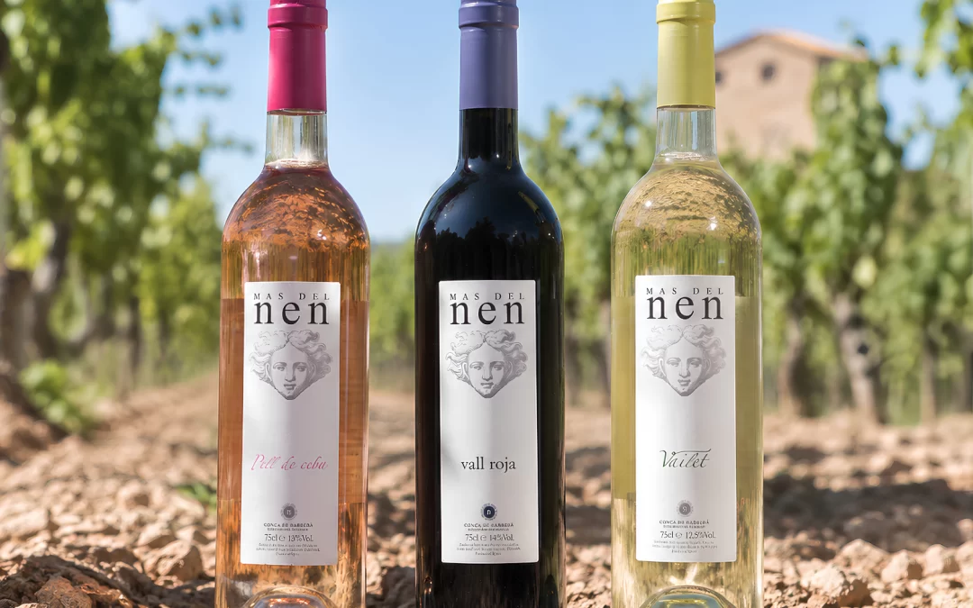 Vins Mas del Nen: quan l’origen es converteix en qualitat